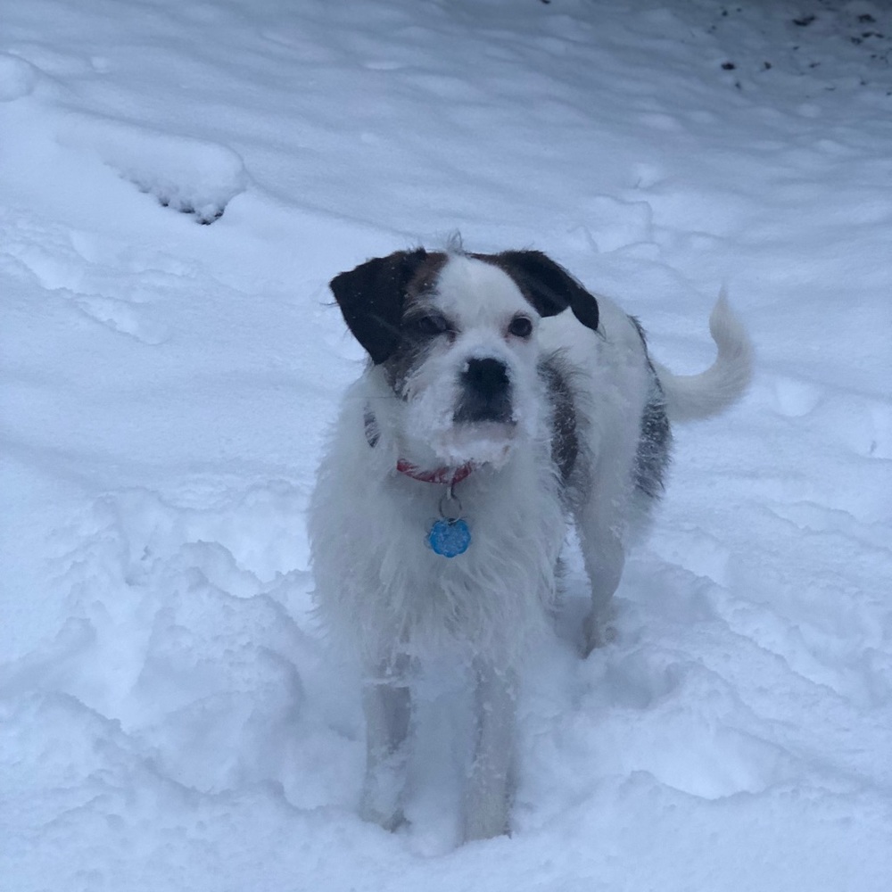 Meet your Posher, Hannah